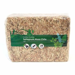 Sphagnum Mossa - 1 kg - ca. 80 liter