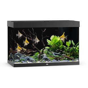 Juwel Rio 290 liter LED - Svart