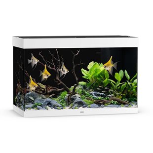 Juwel Rio 290 liter LED - Vit