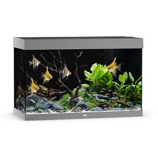 Juwel Rio 290 liter LED - Grå