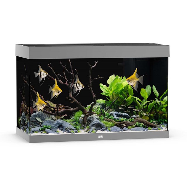 Juwel Rio 290 liter LED - Grå
