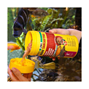 JBL ProNovo Tanganyika Flakes - M - 1000 ml