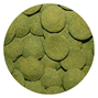 Hikari Algae Wafers - 40 g