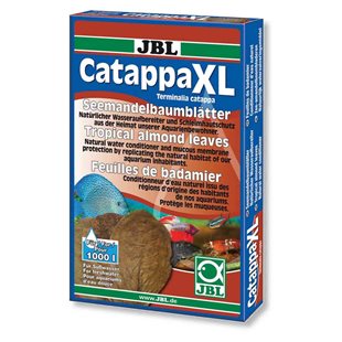 JBL Catappa - Xl - 24 cm - 10 Blad