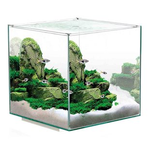 Ciano - Akvarium - Nexus Pure Cube - 14 liter