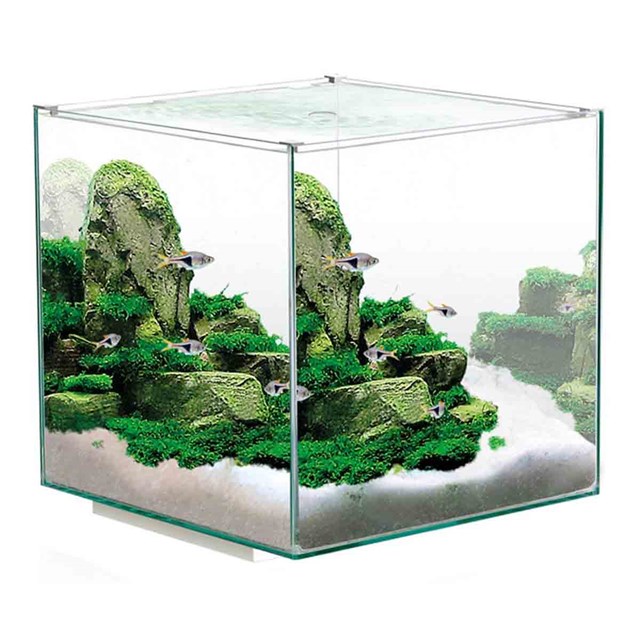 Ciano - Akvarium - Nexus Pure Cube - 14 liter