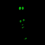 Zombie skull totem - Glow in the dark