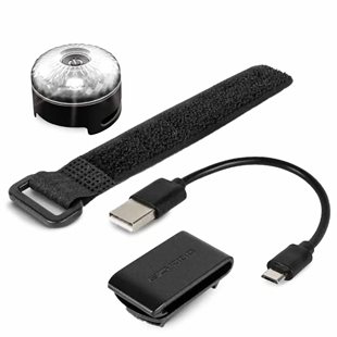 Ezydog Go2 Dog Light Multicolour