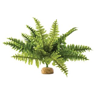 Exo Terra Ormbunke - 36x36x26 cm
