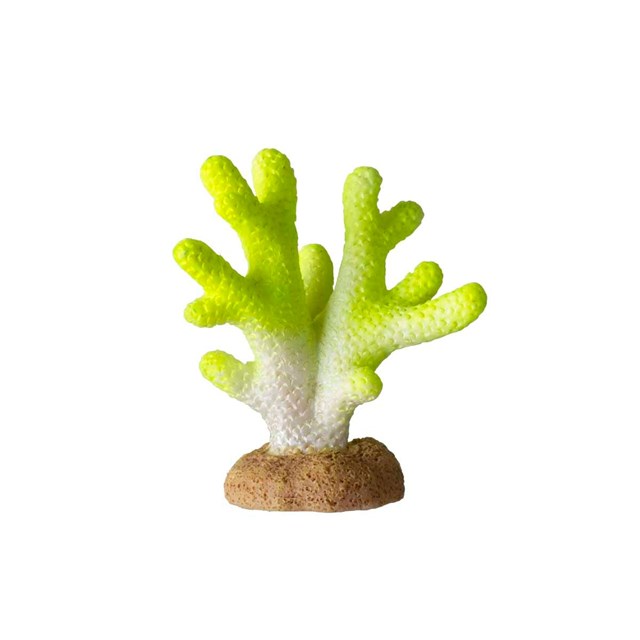 Ozami Coral Lime Green - 4,5x2,5x5,1 cm
