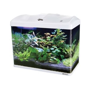 Boyu Akvarium - LED - Vit - 66 liter