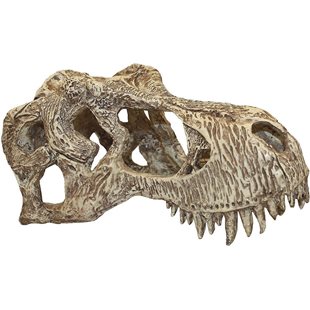 Komodo - T-Rex dödskalle