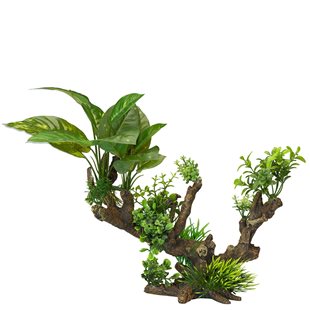 Aqua Della - Florascape 5  - XL