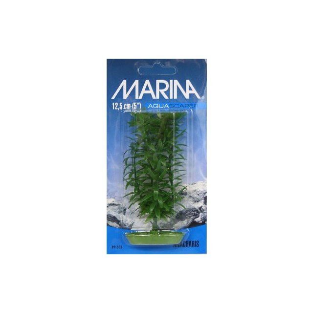 Marina Plastväxt - Anacharis - 13 cm