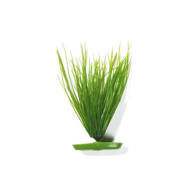 Marina Plastväxt - Hairgrass - 20 cm