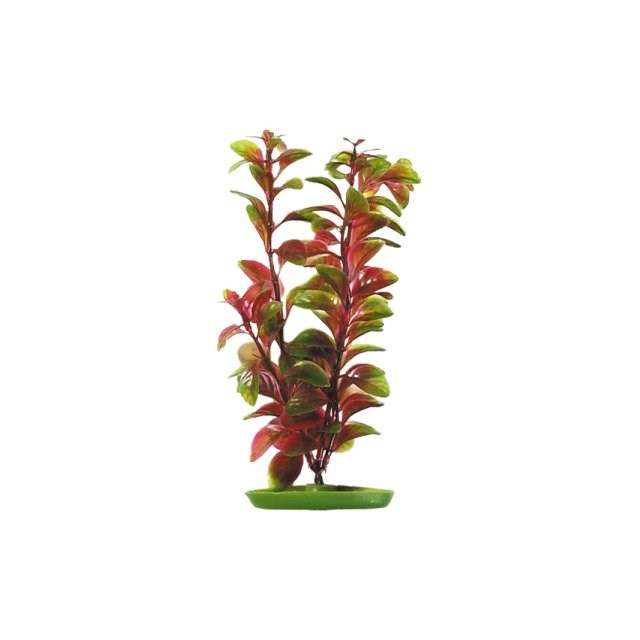 Marina Plastväxt - Red Ludwigia - 13 cm