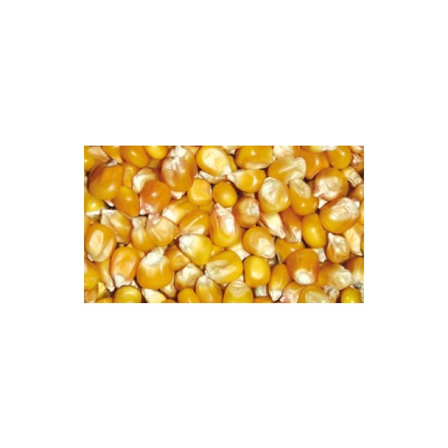 Majs - Hel - Popcorn - 25 Kg