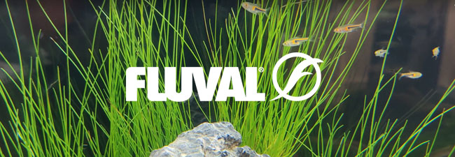 Fluval