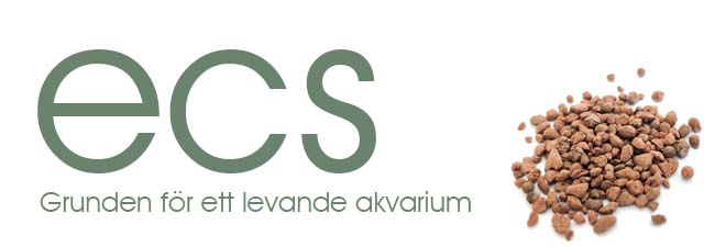 ECS
