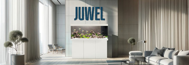 Juwel