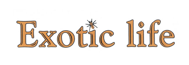Exotic Life