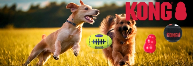 Hundleksaker