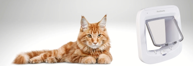 Kattlucka