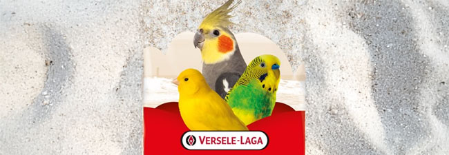 Fågelsand
