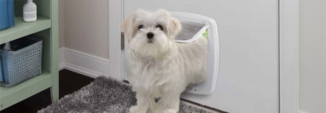 Hundluckor