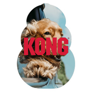 Kong