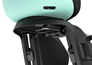 Cykelbarnstol Thule Yepp Nexxt 2 Maxi Frame Mount Mint