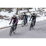 Rogelli Cykeljakke Impress II Women Bordeaux/ Coral
