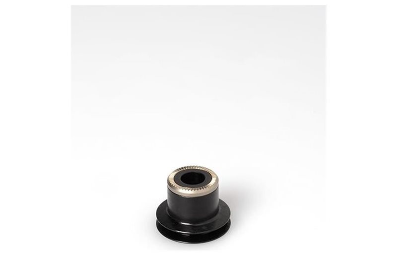 DT SWISS Endestykke Front ADAPT WP 100X DISC TA12 B Disc