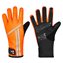 Neon Orange