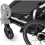 Pyöräkärry Thule Chariot Sport 2 Double Natural Gold