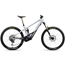 Orbea El MTB Wild M-ltd Halo Silver-Tanzanite Carbon View Matt