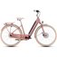 Oldpink/Plum
