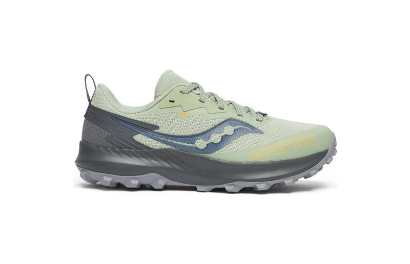 Saucony Polkujuoksukengät Peregrine 14 GTX Sage/carbon