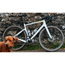Gravel pyörä Cervelo Aspero Apex XPLR AXS 1 Woodsmoke