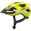 Signal Yellow