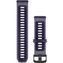 Purple/Indigo