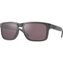 Steel-Prizm Daily Polarized