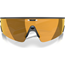 Cykelglasögon Oakley Meta Vanguard AI Smart Glasses Black/Prizm 24K