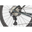 Cannondale Gravelbike Topstone Carbon 2 Lefty Green