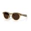 Light Curry/Transitions Brown