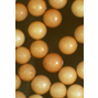 Ocean Nutrition - Artemiaägg - 454 g