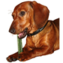 Dentotugg Sticks 5-star - Medium - 18 cm - 50-pack