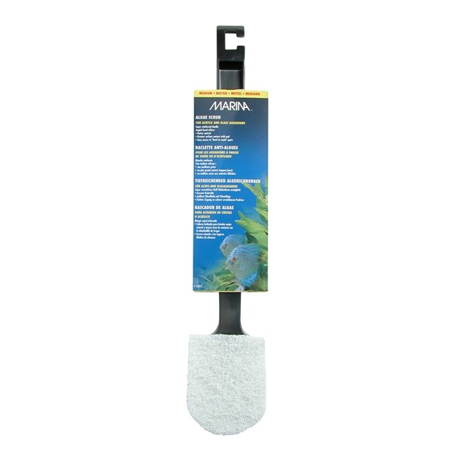 Marina Algae Scrub - Algskrapa - M - 43 cm