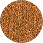 Tetra ReptoDelica Gammarus - 250 ml
