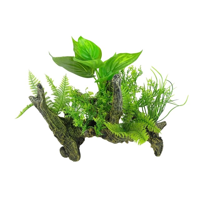 Blue Belle Pacific Aquascape 2 - 20X19x9 cm